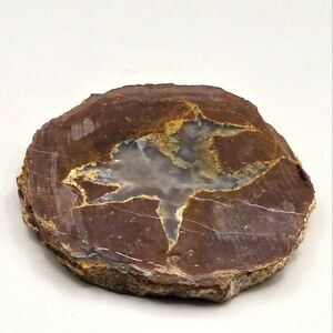 Rough Cut Thunder Egg Slice